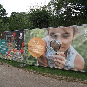 Construction fence signage about the nature exploration garden with outdoor native herp terrariums being constructed, 2025-05-22