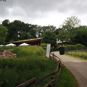 Walkway between Exploration garden under construction, ZooBistro and Blue peafowl, Demoiselle crane and Hawaiian goose exhibit, 2025-05-22