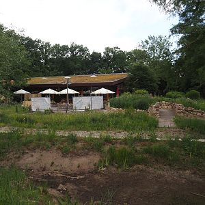 Nature exploration garden with outdoor native herp terrariums under construction, ZooBistro restaurant in the back, 2025-05-22