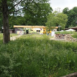 Nature exploration garden with outdoor native herp terrariums under construction, Zoo School in the back, 2025-05-22