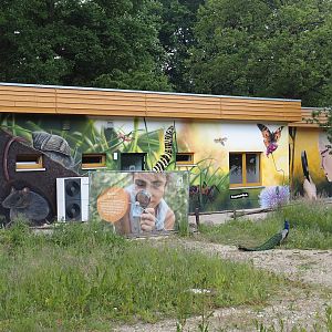 Zoo School with beautiful murals, 2025-05-22