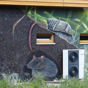 Beautiful murals on the Zoo School, 2025-05-22