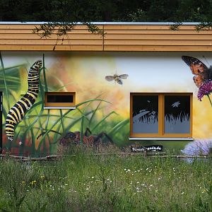 Beautiful murals on the Zoo School, 2025-05-22