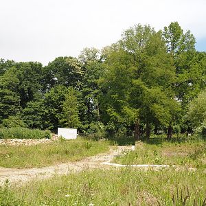 Nature exploration garden with outdoor native herp terrariums under construction, 2025-05-22