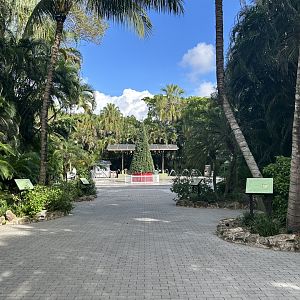 Nov. 2025 - View towards Main Plaza