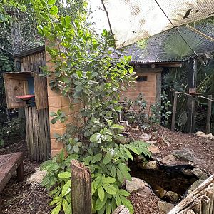 Nov. 2025 - Lorikeet Loft (1)