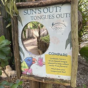 Nov. 2025 - Lorikeet Loft - Interpretive Element