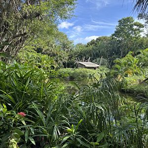 Nov. 2025 - Lemur Island Overview