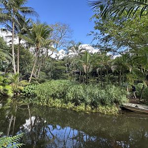 Nov. 2025 - Ring-Tailed Lemur Island