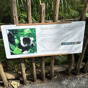 Nov. 2025 - Ruffed Lemur Signage
