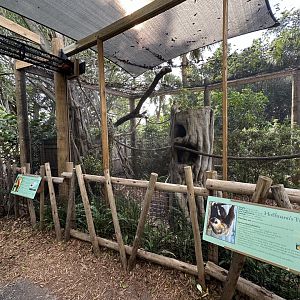 Nov. 2025 - Sloth Mixed Enclosure