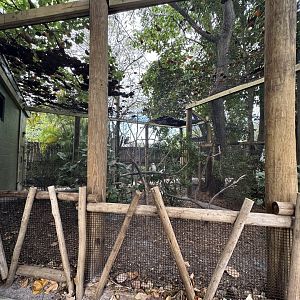 Nov. 2025 - Kookaburra Mixed Enclosure