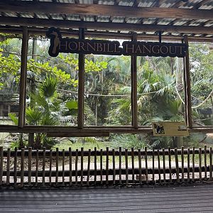 Nov. 2025 - Hornbill Hangout (1)