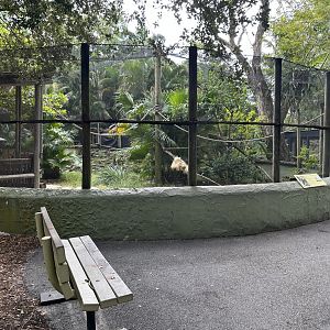 Nov. 2025 - Hornbill Hangout (2)