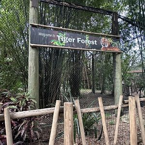 Nov. 2025 - Tiger Forest - Entry Sign