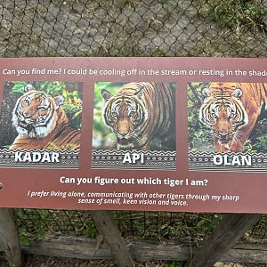 Nov. 2025 - Tiger Forest - Individual Tiger Signage