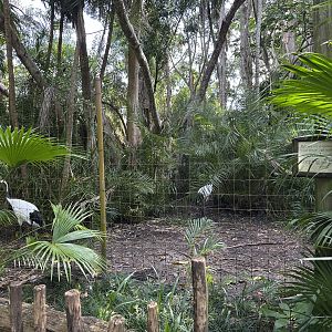 Nov. 2025 - Red-Crowned Crane Enclosure