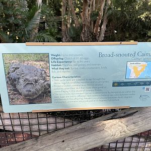 Nov. 2025 - Caiman Signage