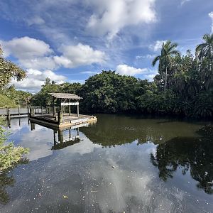 Nov. 2025 - Lakeside View (from the Caiman)