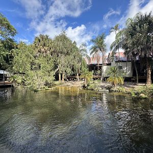 Nov. 2025 - Flamingo Enclosure (1 of 2)