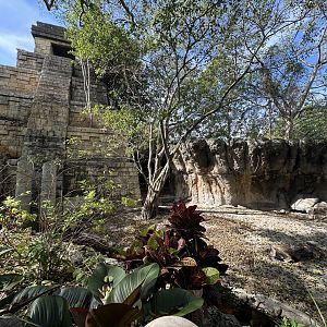 Nov. 2025 - Porcupine Enclosure (ex-bush dog)