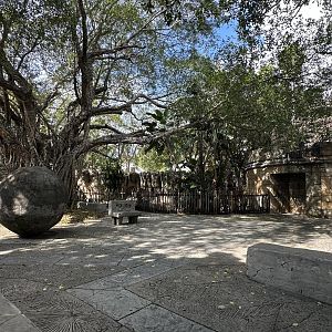 Nov. 2025 - Tropics of the Americas - Plaza Overview