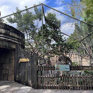 Nov. 2025 - “Monkey Mania” (Squirrel Monkey Enclosure)