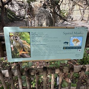 Nov. 2025 - Tropics of the Americas - Squirrel Monkey Signage