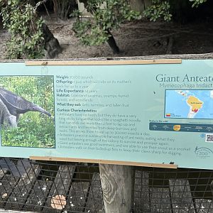 Nov. 2025 - Tropics of the Americas - Anteater Signage