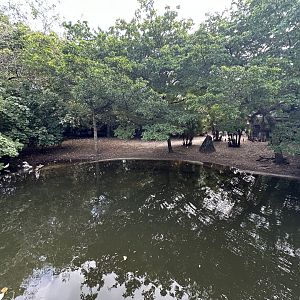 Nov. 2025 - Tropics of the Americas - Mixed Enclosure