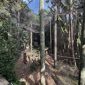 Nov. 2025 - Tropics of the Americas - Howler Monkey Enclosure (ex-ocelot)