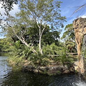 Nov. 2025 - Tropics of the Americas - Spider Monkey Enclosure