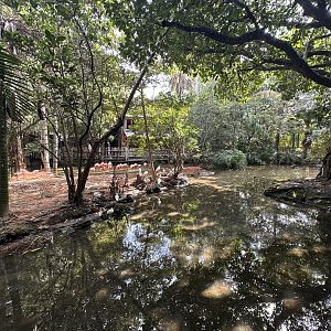 Nov. 2025 - Flamingo Enclosure (2 of 2)