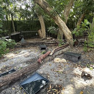 Nov. 2025 - Florida Wetlands - Gopher Tortoise Enclosures