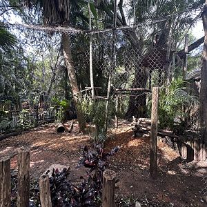 Nov. 2025 - Florida Wetlands - Owl Mixed Enclosure