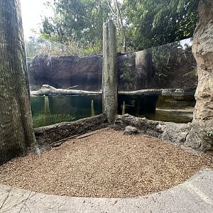 Nov. 2025 - Florida Wetlands - River Otter Enclosure