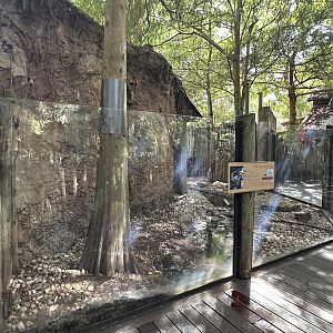 Nov. 2025 - Florida Wetlands - River Otter Enclosure