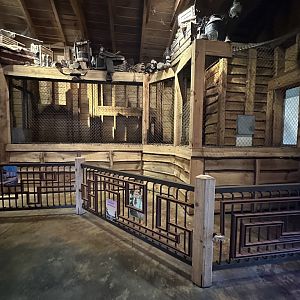 Nov. 2025 - Florida Wetlands - Panther Demonstration Area