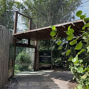 Nov. 2025 - Tiger Forest - Overhead Passage