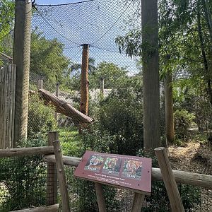 Nov. 2025 - Tiger Forest - Malayan Tiger Enclosure