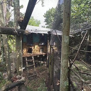 Nov. 2025 - Tropics of the Americas - Howler Monkey Enclosures (ex-ocelot)