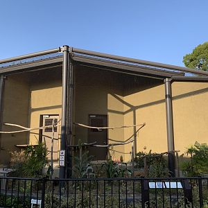 Himalayan Monal Aviaries