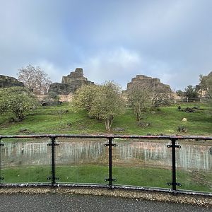Bennett’s Wallaby & Emu Exhibit (Mappin Terraces)