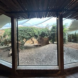 Komodo Dragon Exhibit