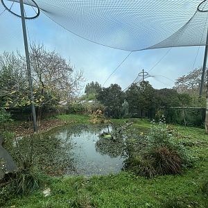 Sumatran Tiger Exhibit #1 - Tiger Territory