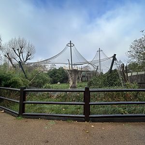 Sumatran Tiger Exhibit #2 - Tiger Territory