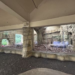 Indoor Sumatran Tiger Exhibit - Tiger Territory