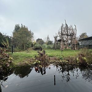 Gorilla Exhibit - Gorilla Kingdom