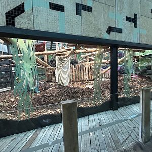 Indoor Gorilla Exhibit - Gorilla Kingdom