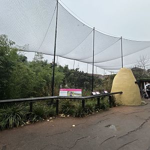 Walkthrough Aviary (Bird Safari)